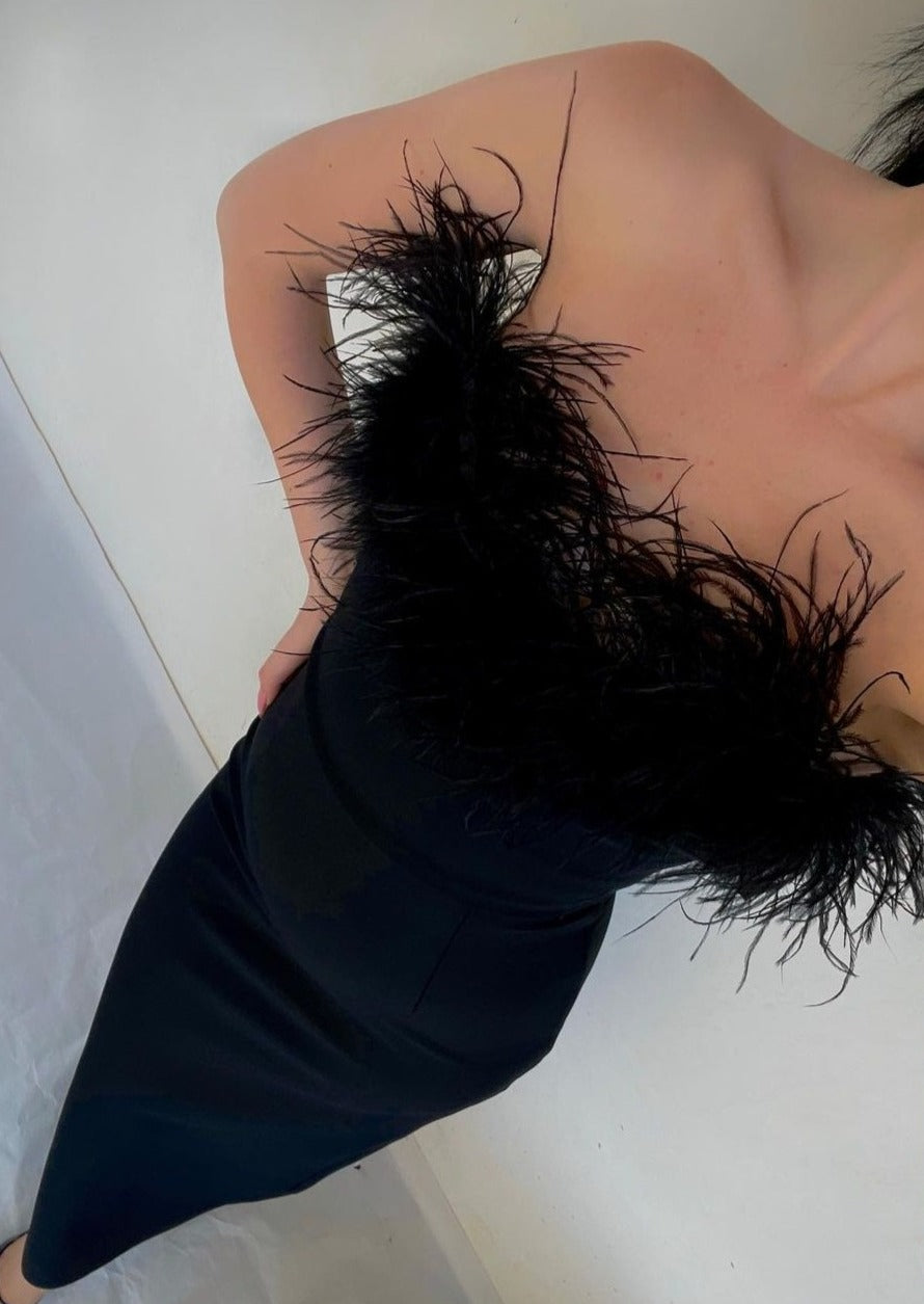 ZOSIA | NOIR FEATHER GOWN